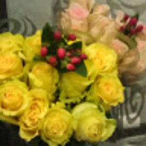 Meet your Posher, Anita